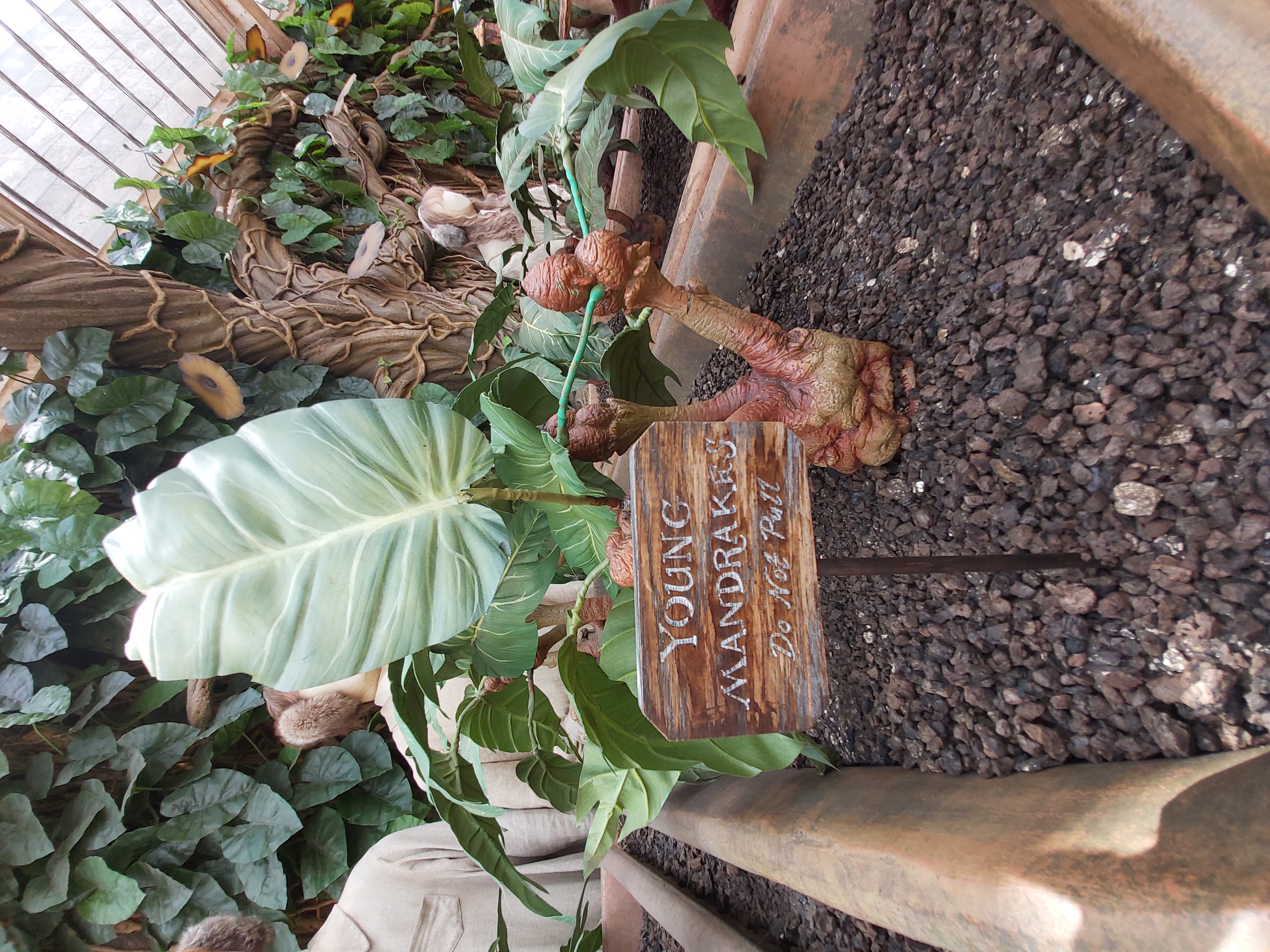 Nyugat-Európa utazás a Z(s)eppelinnel