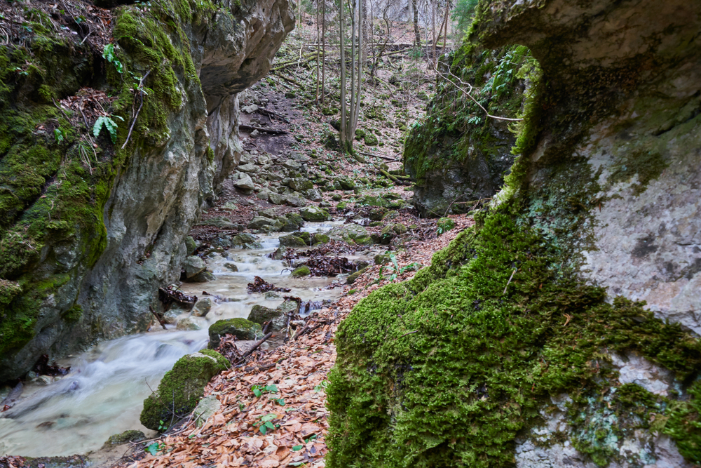 A képen az ausztriai Steinwandklamm (Steinwand-szurdok) látható Alsó-Ausztriában.  - Z(s)eppelin utazás