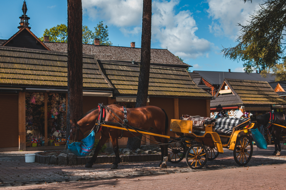 A képen egy lovaskocsi látható Zakopanében, Lengyelországban. 